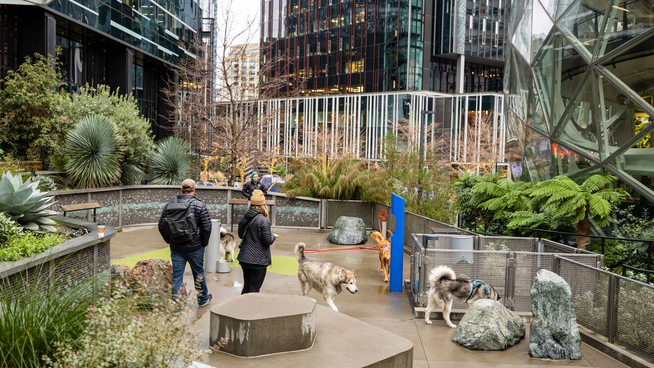 A photo of the dog park at Amazon Headquarters in Seattle.